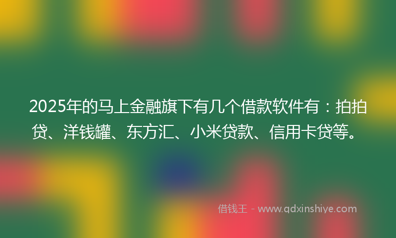 2025年的马上金融旗下有几个借款软件有：拍拍贷、洋钱罐、东方汇、小米贷款、信用卡贷等。