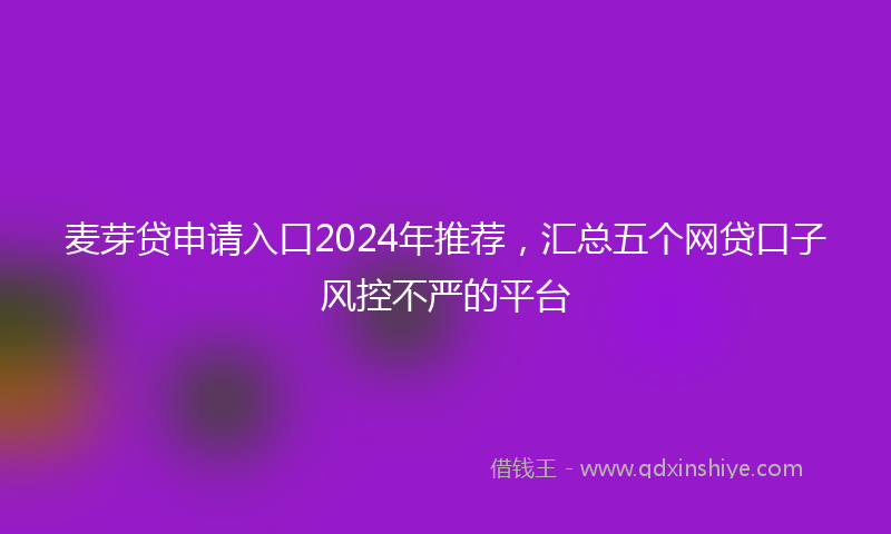 麦芽贷申请入口2024年推荐，汇总五个网贷口子风控不严的平台