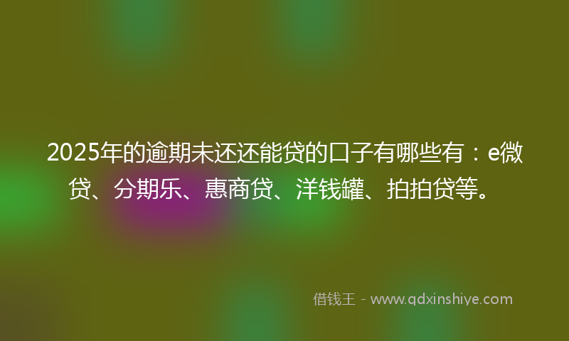 2025年的逾期未还还能贷的口子有哪些有：e微贷、分期乐、惠商贷、洋钱罐、拍拍贷等。