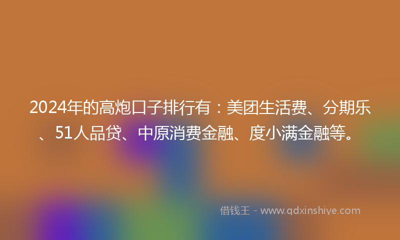 2024年的高炮口子排行有：美团生活费、分期乐、51人品贷、中原消费金融、度小满金融等。
