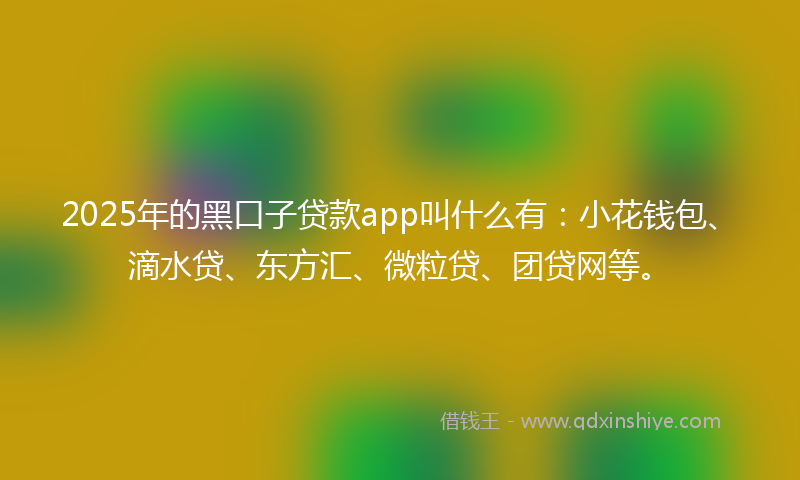 2025年的黑口子贷款app叫什么有：小花钱包、滴水贷、东方汇、微粒贷、团贷网等。