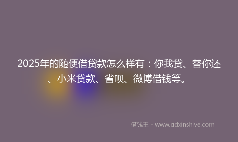2025年的随便借贷款怎么样有：你我贷、替你还、小米贷款、省呗、微博借钱等。