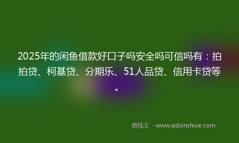 2025年的闲鱼借款好口子吗安全吗可信吗有：拍拍贷、柯基贷、分期乐、51人品贷、信用卡贷等。