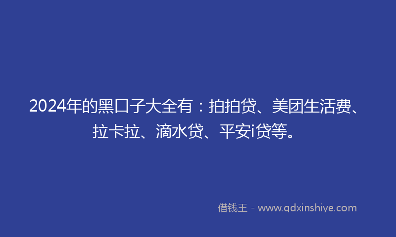 2024年的黑口子大全有：拍拍贷、美团生活费、拉卡拉、滴水贷、平安i贷等。