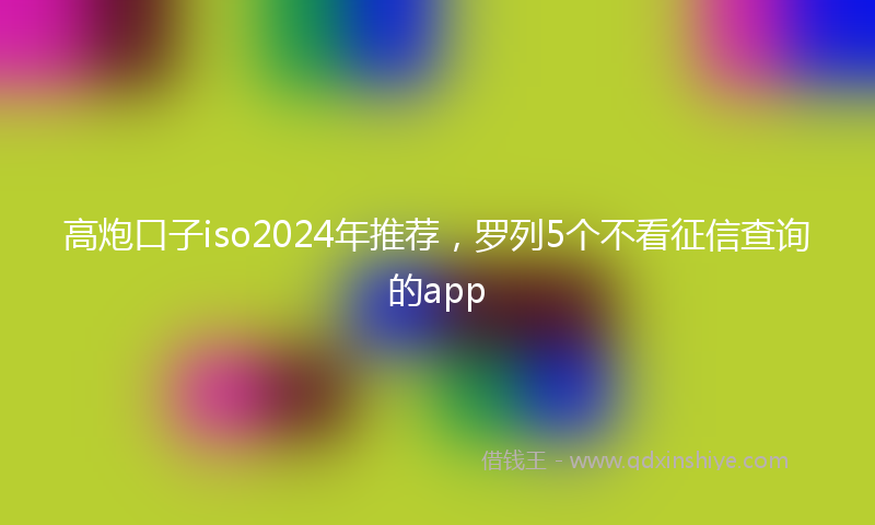 高炮口子iso2024年推荐，罗列5个不看征信查询的app