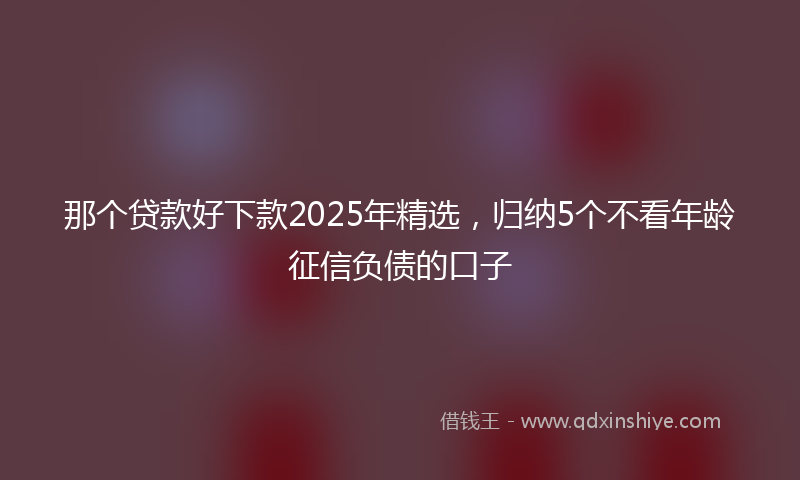 那个贷款好下款2025年精选，归纳5个不看年龄征信负债的口子