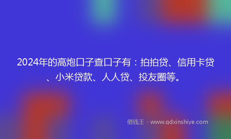 2024年的高炮口子查口子有：拍拍贷、信用卡贷、小米贷款、人人贷、投友圈等。