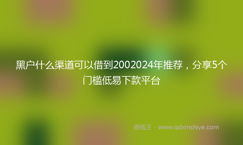 黑户什么渠道可以借到2002024年推荐，分享5个门槛低易下款平台