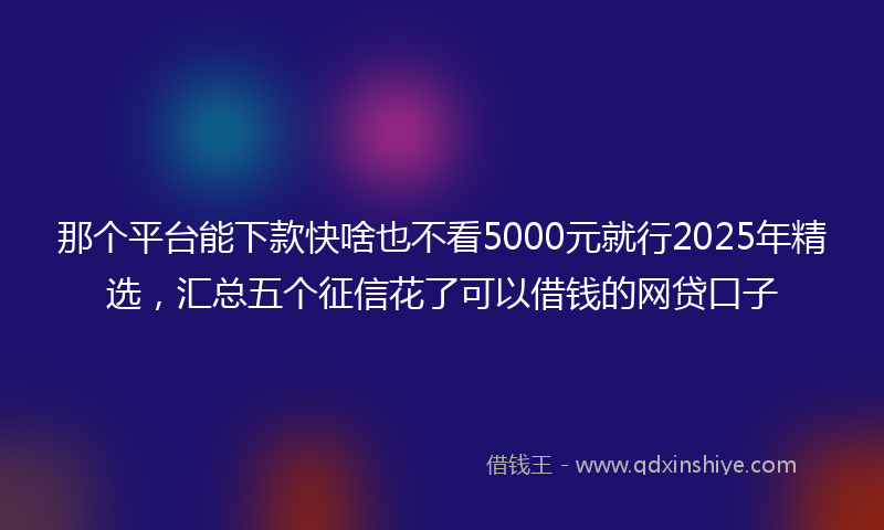 那个平台能下款快啥也不看5000元就行2025年精选，汇总五个征信花了可以借钱的网贷口子