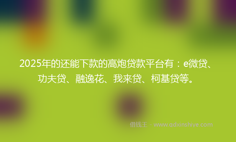 2025年的还能下款的高炮贷款平台有：e微贷、功夫贷、融逸花、我来贷、柯基贷等。