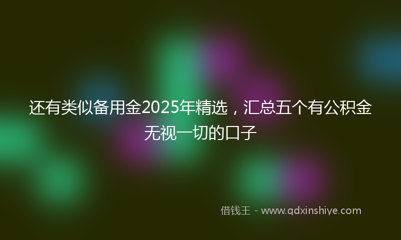 还有类似备用金2025年精选，汇总五个有公积金无视一切的口子