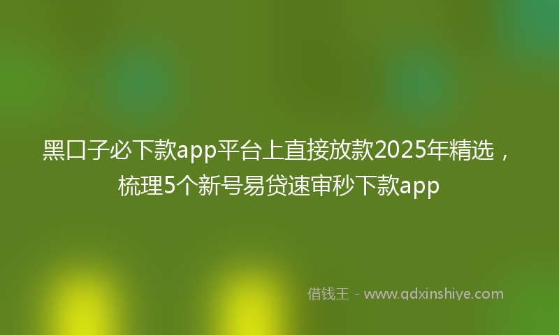 黑口子必下款app平台上直接放款2025年精选，梳理5个新号易贷速审秒下款app
