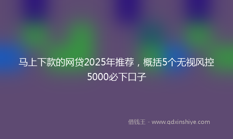 马上下款的网贷2025年推荐，概括5个无视风控5000必下口子