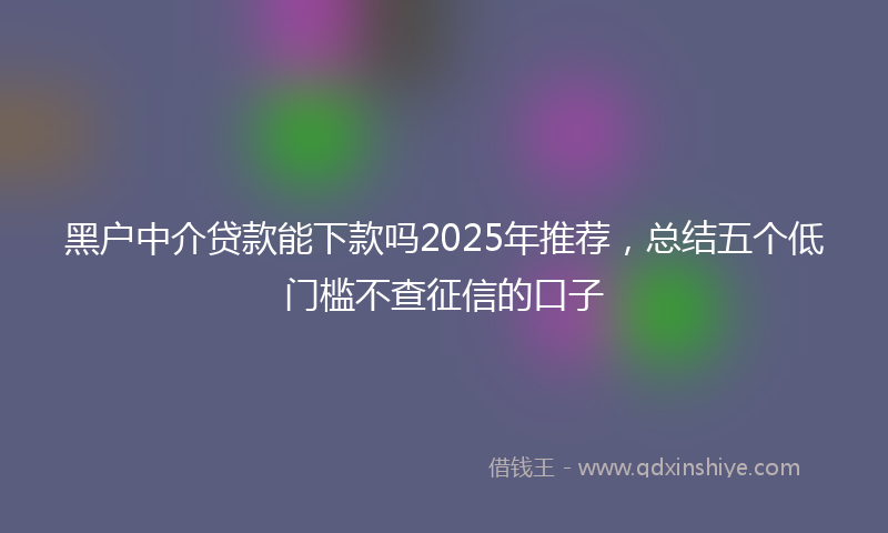 黑户中介贷款能下款吗2025年推荐，总结五个低门槛不查征信的口子