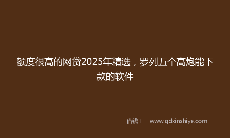 额度很高的网贷2025年精选，罗列五个高炮能下款的软件
