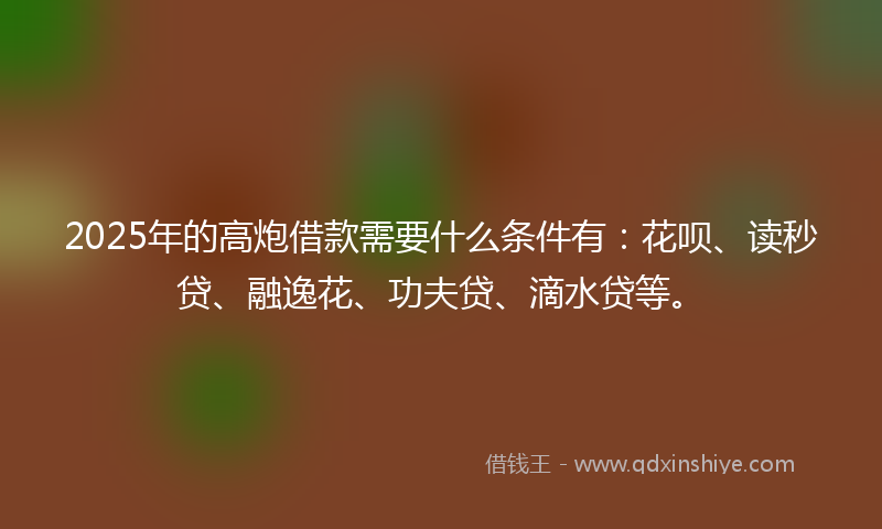 2025年的高炮借款需要什么条件有:花呗、读秒贷、融逸花、功夫贷、滴水贷等。