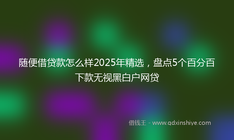随便借贷款怎么样2025年精选，盘点5个百分百下款无视黑白户网贷