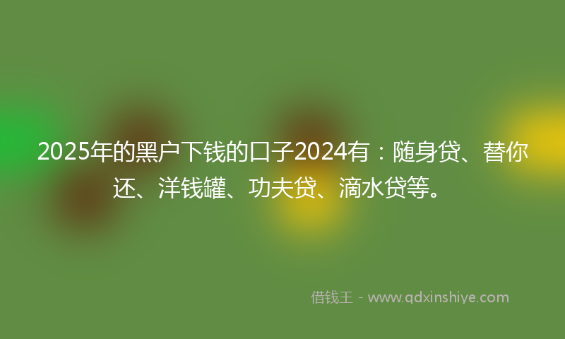 2025年的黑户下钱的口子2024有:随身贷、替你还、洋钱罐、功夫贷、滴水贷等。