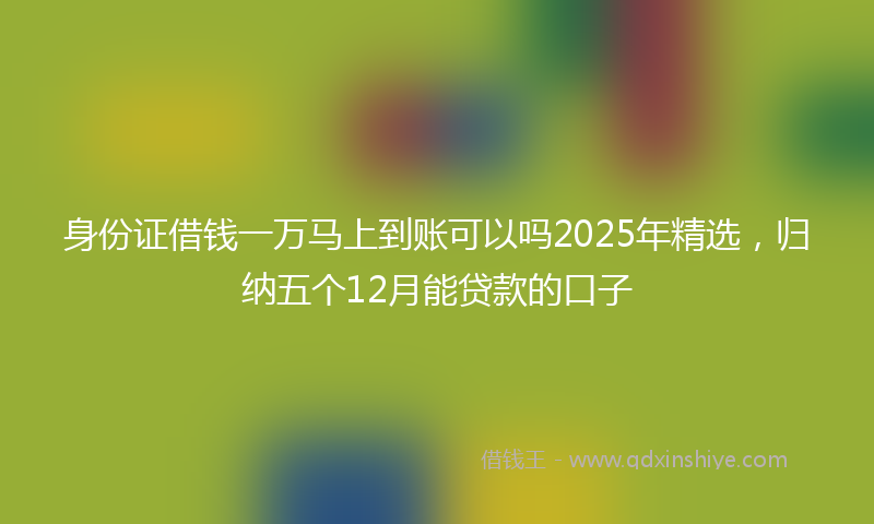 身份证借钱一万马上到账可以吗2025年精选，归纳五个12月能贷款的口子