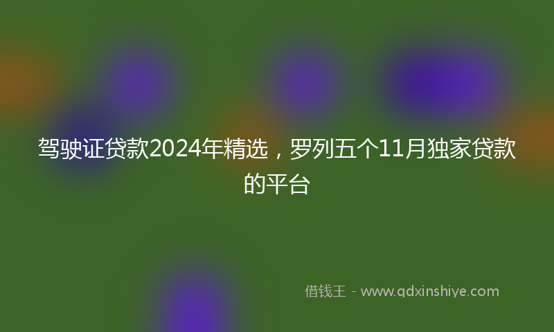 驾驶证贷款2024年精选，罗列五个11月独家贷款的平台