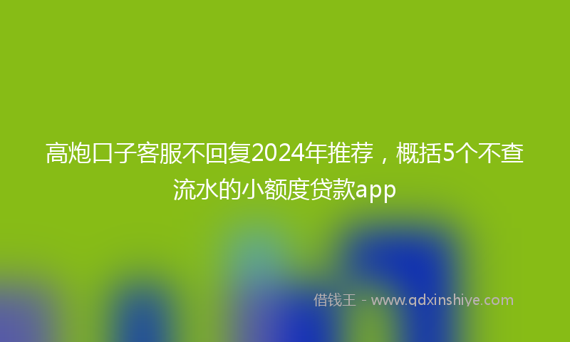 高炮口子客服不回复2024年推荐，概括5个不查流水的小额度贷款app