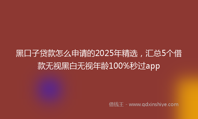 黑口子贷款怎么申请的2025年精选，汇总5个借款无视黑白无视年龄100%秒过app