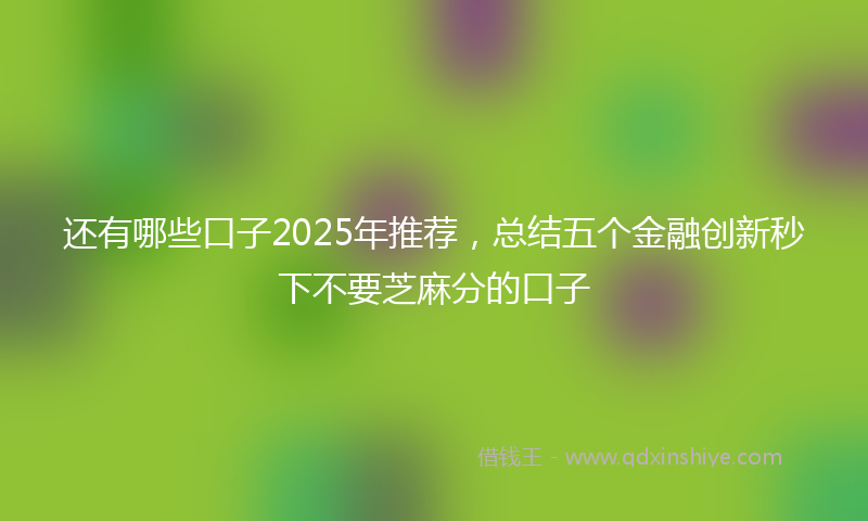 还有哪些口子2025年推荐，总结五个金融创新秒下不要芝麻分的口子