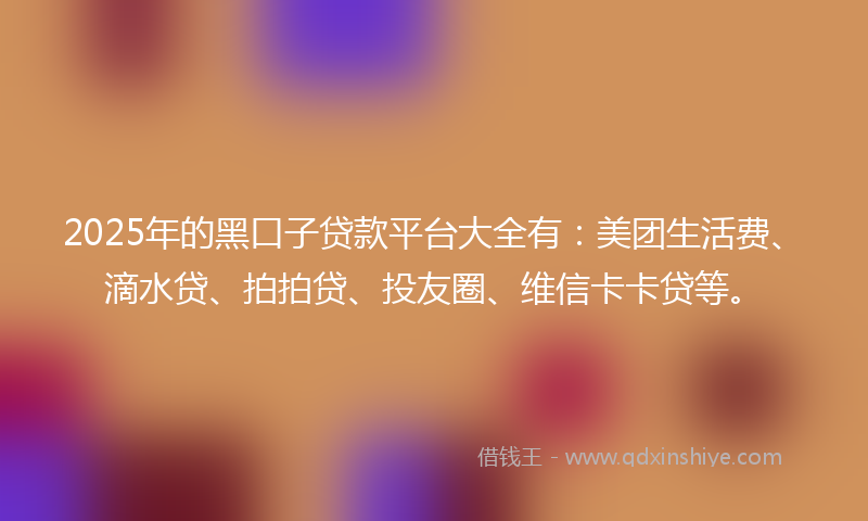 2025年的黑口子贷款平台大全有：美团生活费、滴水贷、拍拍贷、投友圈、维信卡卡贷等。