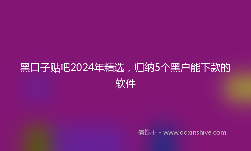 黑口子贴吧2024年精选，归纳5个黑户能下款的软件
