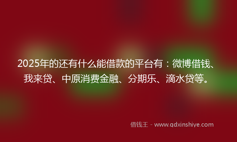 2025年的还有什么能借款的平台有：微博借钱、我来贷、中原消费金融、分期乐、滴水贷等。