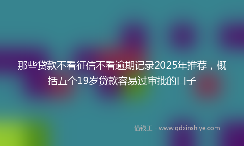 那些贷款不看征信不看逾期记录2025年推荐，概括五个19岁贷款容易过审批的口子