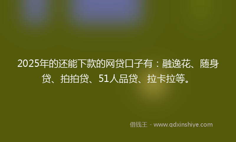 2025年的还能下款的网贷口子有：融逸花、随身贷、拍拍贷、51人品贷、拉卡拉等。
