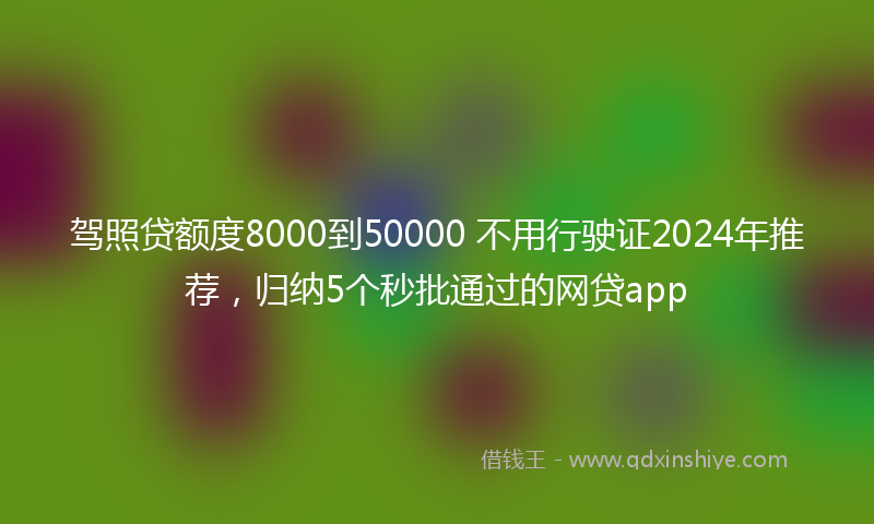 驾照贷额度8000到50000 不用行驶证2024年推荐，归纳5个秒批通过的网贷app