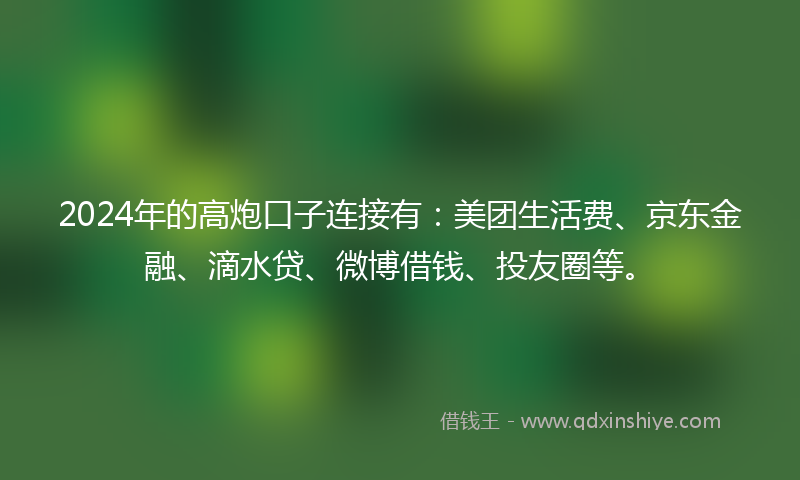 2024年的高炮口子连接有：美团生活费、京东金融、滴水贷、微博借钱、投友圈等。