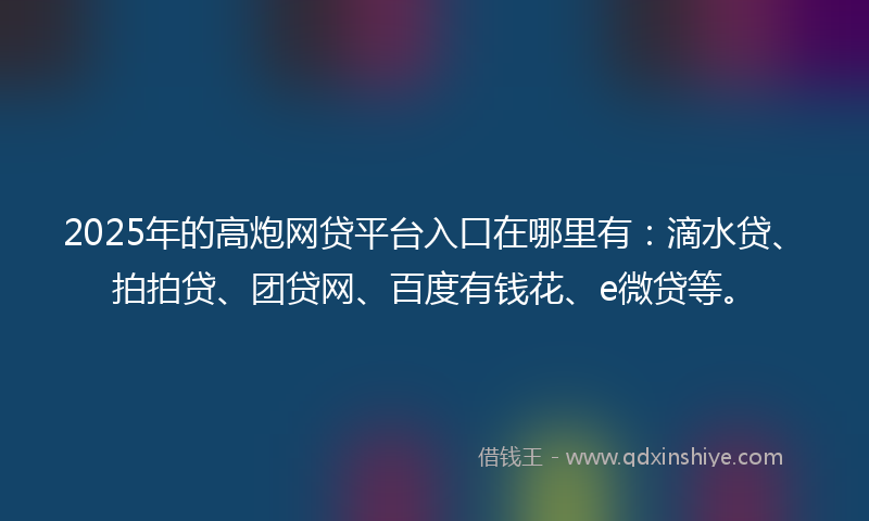2025年的高炮网贷平台入口在哪里有：滴水贷、拍拍贷、团贷网、百度有钱花、e微贷等。