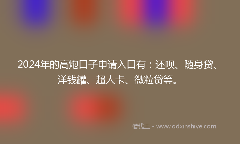 2024年的高炮口子申请入口有：还呗、随身贷、洋钱罐、超人卡、微粒贷等。