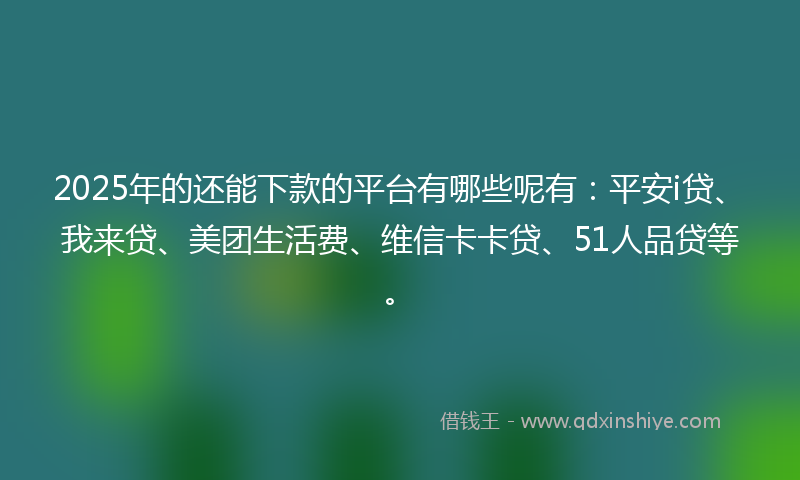 2025年的还能下款的平台有哪些呢有：平安i贷、我来贷、美团生活费、维信卡卡贷、51人品贷等。