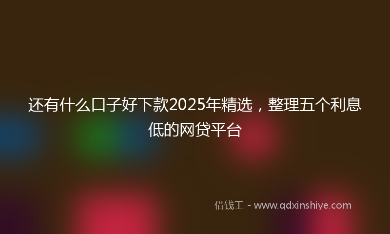 还有什么口子好下款2025年精选，整理五个利息低的网贷平台
