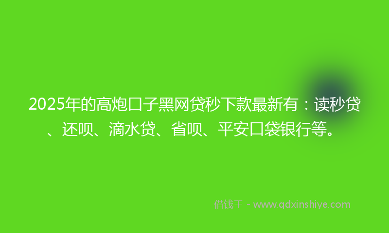 2025年的高炮口子黑网贷秒下款最新有：读秒贷、还呗、滴水贷、省呗、平安口袋银行等。