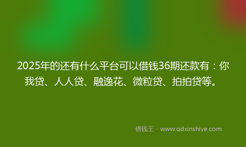 2025年的还有什么平台可以借钱36期还款有：你我贷、人人贷、融逸花、微粒贷、拍拍贷等。