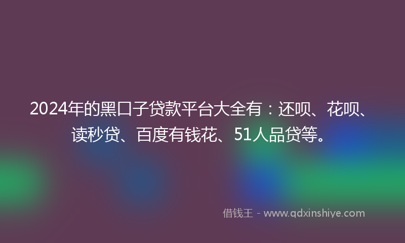 2024年的黑口子贷款平台大全有：还呗、花呗、读秒贷、百度有钱花、51人品贷等。