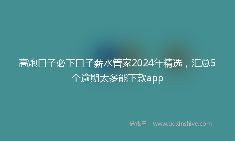 高炮口子必下口子薪水管家2024年精选，汇总5个逾期太多能下款app