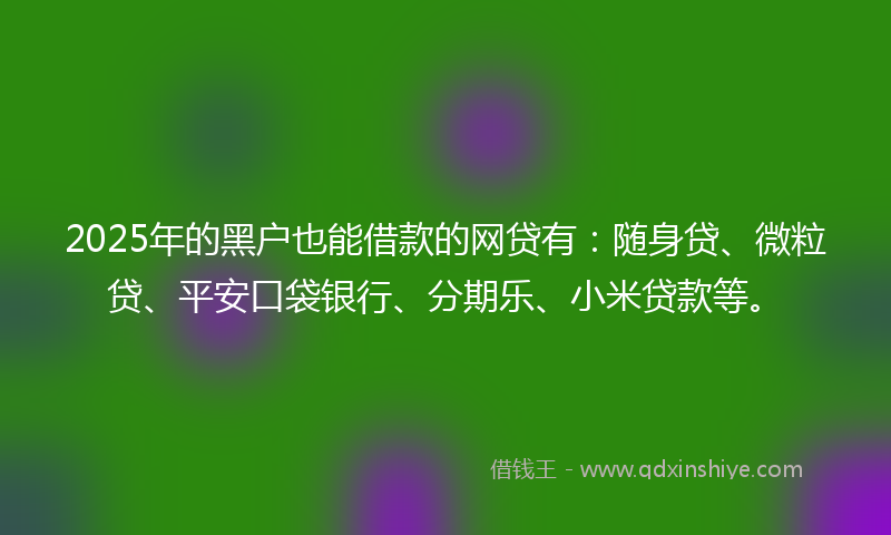 2025年的黑户也能借款的网贷有：随身贷、微粒贷、平安口袋银行、分期乐、小米贷款等。