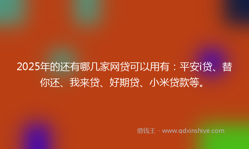 2025年的还有哪几家网贷可以用有：平安i贷、替你还、我来贷、好期贷、小米贷款等。