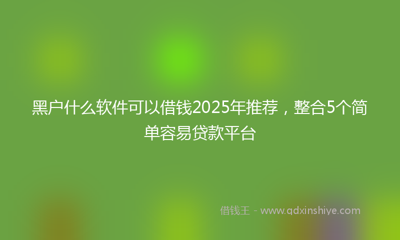 黑户什么软件可以借钱2025年推荐，整合5个简单容易贷款平台