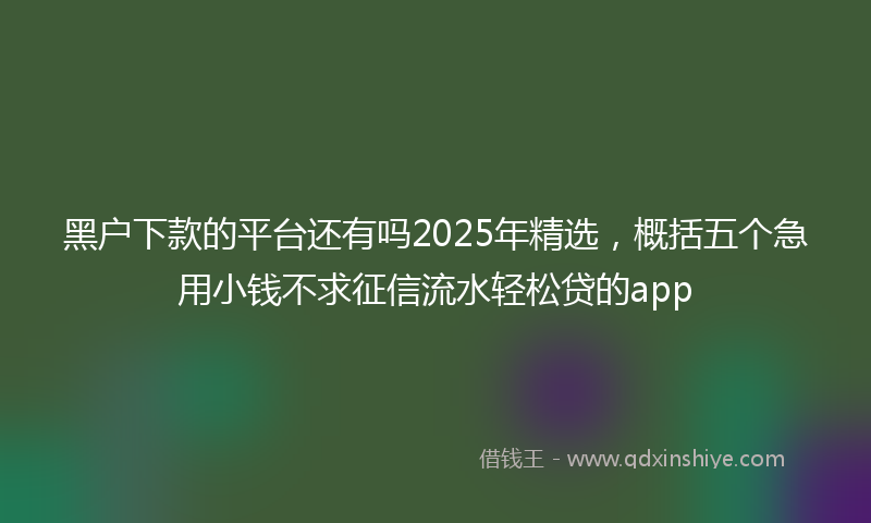 黑户下款的平台还有吗2025年精选，概括五个急用小钱不求征信流水轻松贷的app