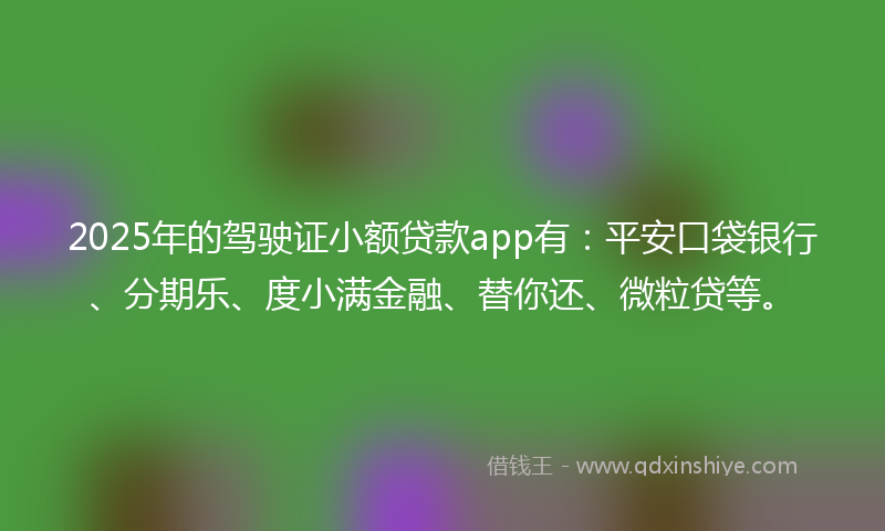 2025年的驾驶证小额贷款app有：平安口袋银行、分期乐、度小满金融、替你还、微粒贷等。