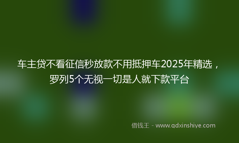 车主贷不看征信秒放款不用抵押车2025年精选，罗列5个无视一切是人就下款平台