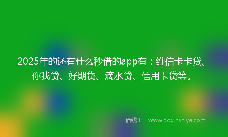 2025年的还有什么秒借的app有：维信卡卡贷、你我贷、好期贷、滴水贷、信用卡贷等。