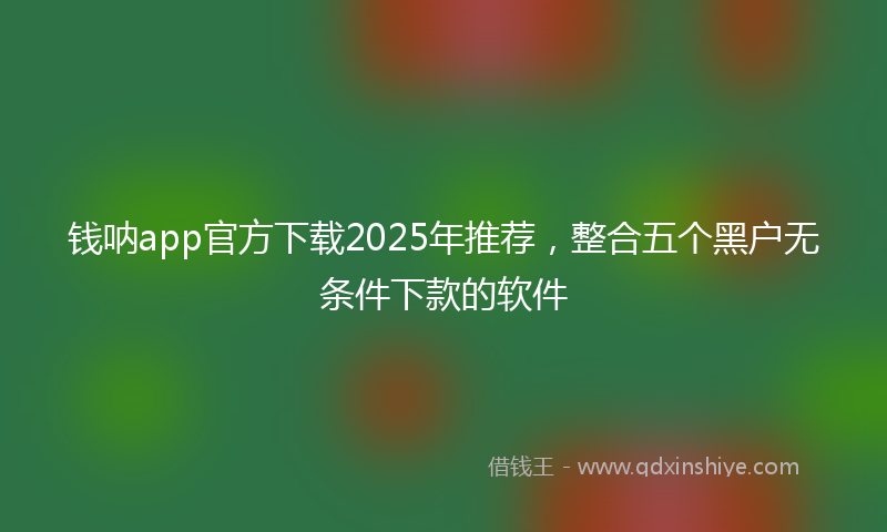 钱呐app官方下载2025年推荐，整合五个黑户无条件下款的软件